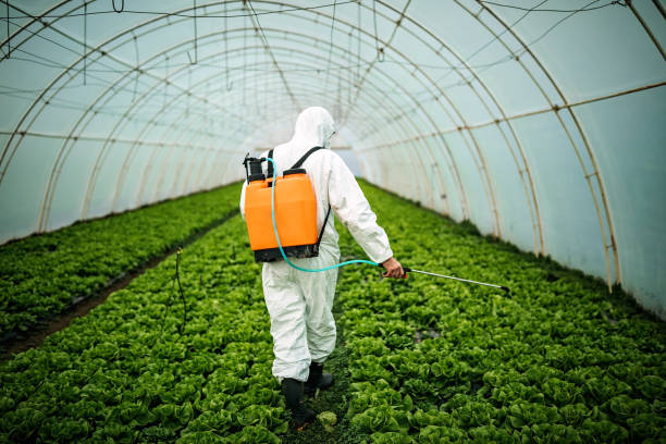 Best Emergency Pest Control  in Lake Crystal, MN