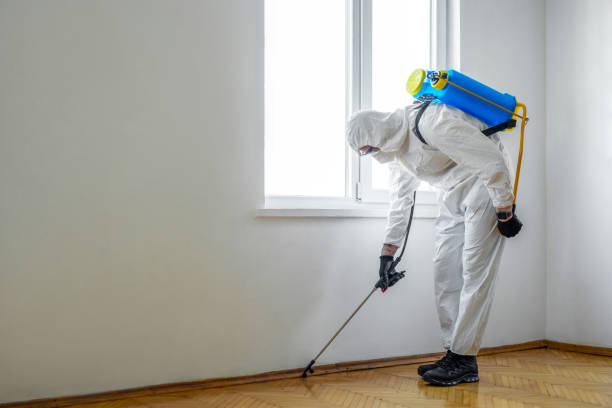 Best Residential Pest Control  in Lake Crystal, MN