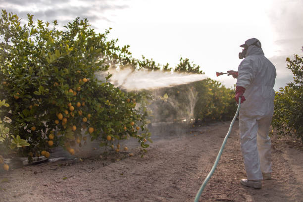 Best Best Pest Control Companies  in Lake Crystal, MN