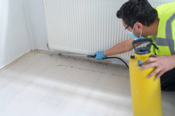 Best Rat Extermination Near Me  in Lake Crystal, MN