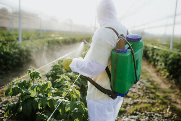 Best Wasp Removal Services  in Lake Crystal, MN